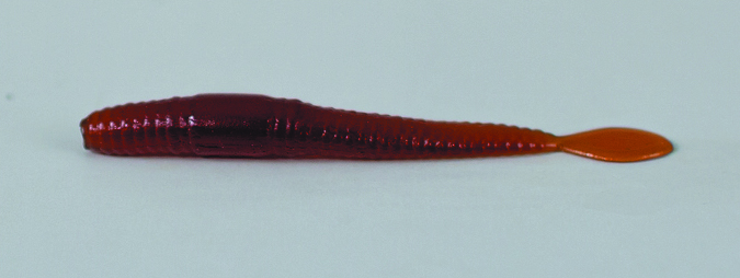VERME PALETTATO 5.5 cm - 2
